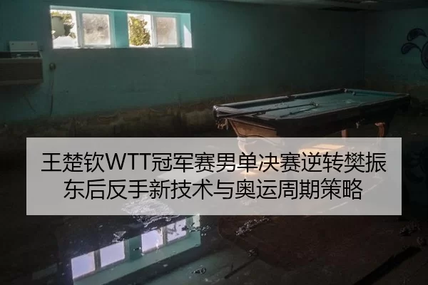 王楚钦WTT冠军赛男单决赛逆转樊振东后反手新技术与奥运周期策略